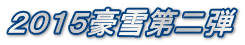 ２０１５豪雪第二弾