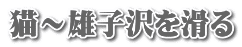 猫～雄子沢を滑る