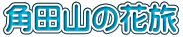 角田山の花旅