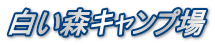 白い森キャンプ場
