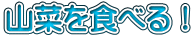 山菜を食べる！