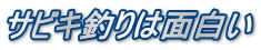 サビキ釣りは面白い