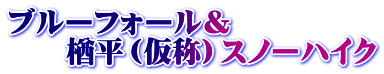 ブルーフォール＆ 　　楢平（仮称）スノーハイク