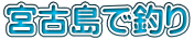 宮古島で釣り