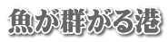 魚が群がる港