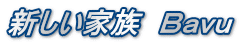 新しい家族　Ｂａｖｕ