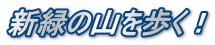 新緑の山を歩く！
