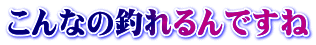 こんなの釣れるんですね