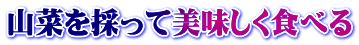 山菜を採って美味しく食べる