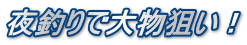 夜釣りで大物狙い！
