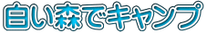 白い森でキャンプ