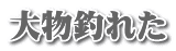 大物釣れた