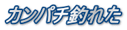 カンパチ釣れた