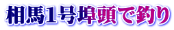 相馬１号埠頭で釣り