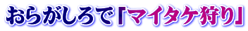 おらがしろで「マイタケ狩り」