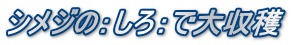 シメジの：しろ：で大収穫