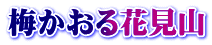 梅かおる花見山
