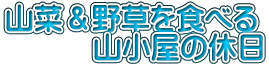 山菜＆野草を食べる 　　　山小屋の休日