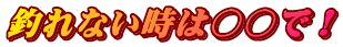 釣れない時は○○で！
