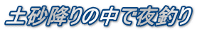 土砂降りの中で夜釣り