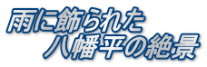 雨に飾られた 　　八幡平の絶景