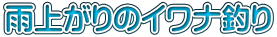 雨上がりのイワナ釣り