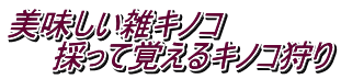 美味しい雑キノコ 　　採って覚えるキノコ狩り