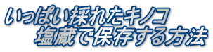 いっぱい採れたキノコ 　　塩蔵で保存する方法