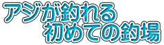 アジが釣れる 　　初めての釣場