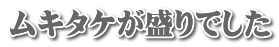 ムキタケが盛りでした
