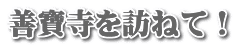 善寶寺を訪ねて！