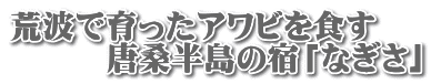荒波で育ったアワビを食す 　　　唐桑半島の宿「なぎさ」