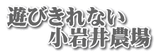 遊びきれない 　　小岩井農場