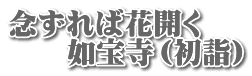 念ずれば花開く 　　如宝寺（初詣）