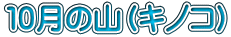 １０月の山（キノコ）