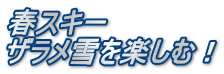春スキー ザラメ雪を楽しむ！