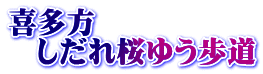 喜多方 　しだれ桜ゆう歩道