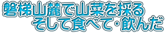 磐梯山麓で山菜を採る 　　そして食べて・飲んだ