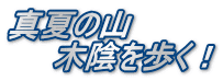 真夏の山 　　木陰を歩く！