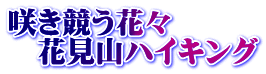 咲き競う花々 　花見山ハイキング
