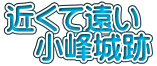 近くて遠い 　小峰城跡