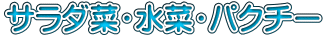 サラダ菜・水菜・パクチー