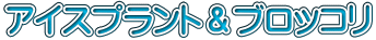 アイスプラント＆ブロッコリ
