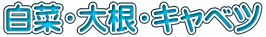 白菜・大根・キャベツ